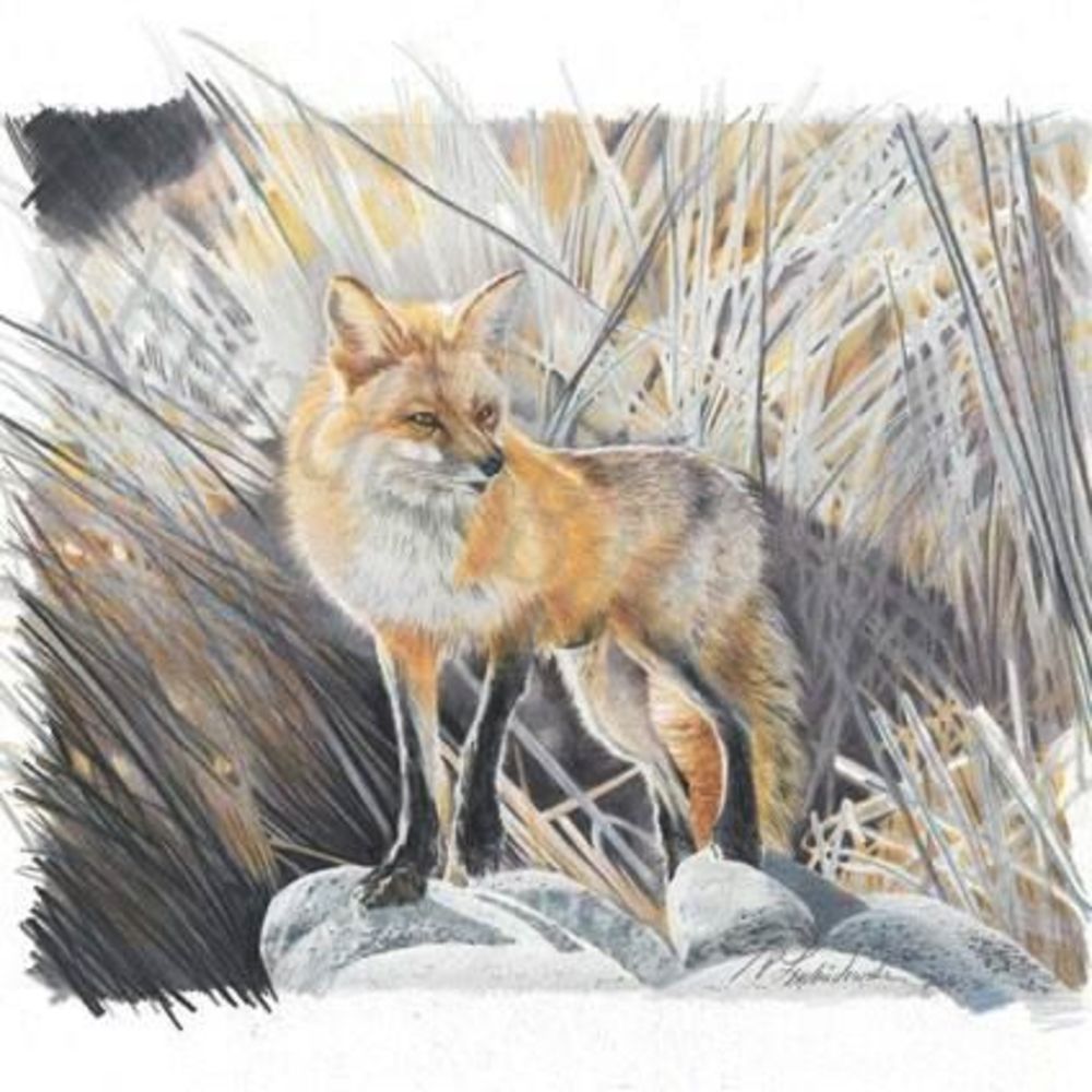 Meet your Posher, Luke